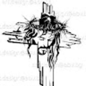 Meet your Posher, Alena